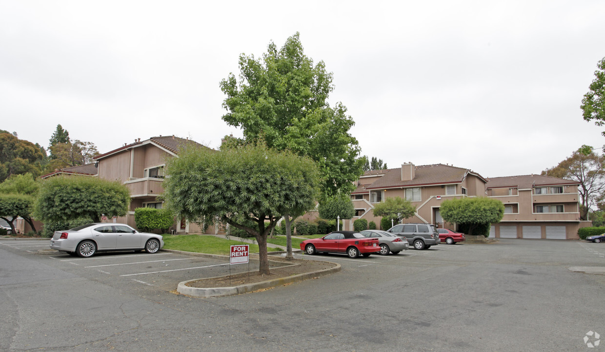 Primary Photo - Redwood village condominiums