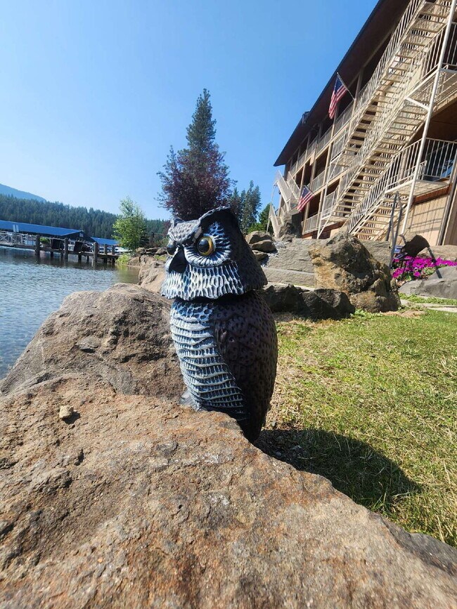 Foto del edificio - Bayview Lakeside Charmer