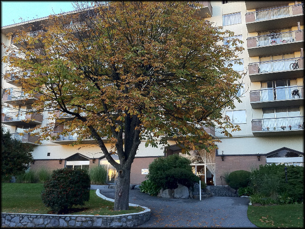 Photo du bâtiment - The Lamplighter