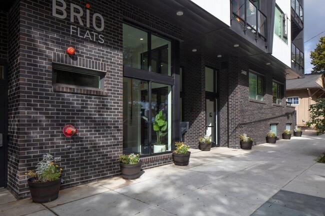 Interior Photo - Brio Flats