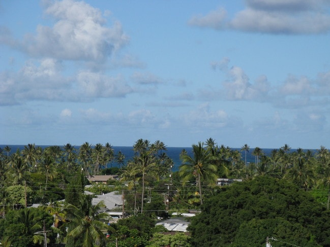 Ocean View from Lanai - 14 Aulike St