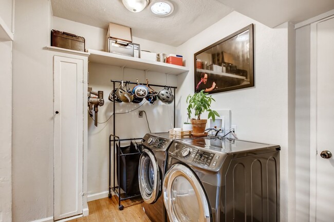 Building Photo - North Park Gem: 4-Bedroom, 3-Bath Home with Lush Garden & Modern Comforts