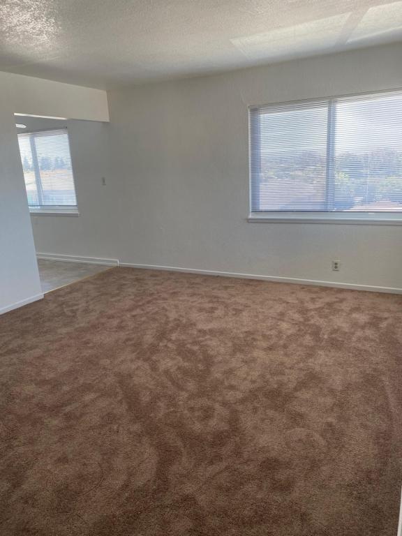 Photo - 16850 Ehle St House