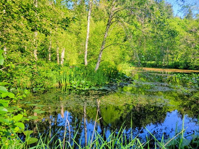 Foto del edificio - 1310 Oyster Creek Ln