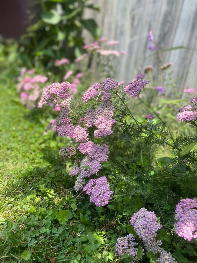 flowers - 2726 W Wellington Ave