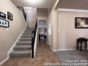 Foto del edificio - 2537 Hourless Oaks Ln