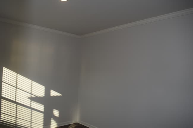 Building Photo - 4680 Trefoil Path