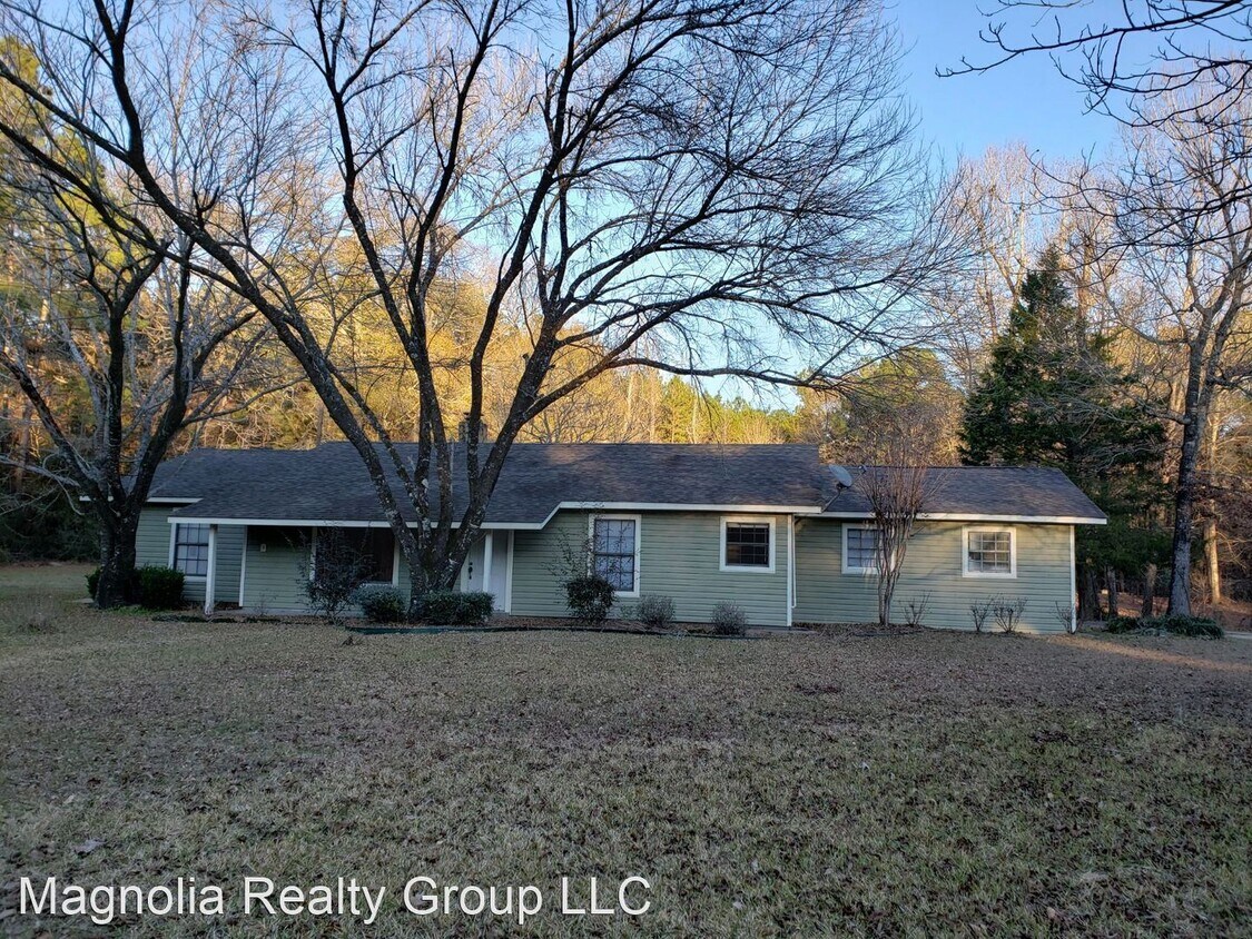 Primary Photo - 4 br, 2 bath House - 313 Leonard Hunt Rd