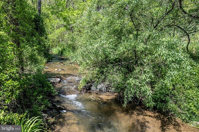 Foto del edificio - 11356 Dutchmans Creek Rd