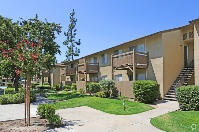 Complejo - Briarwood Apartments