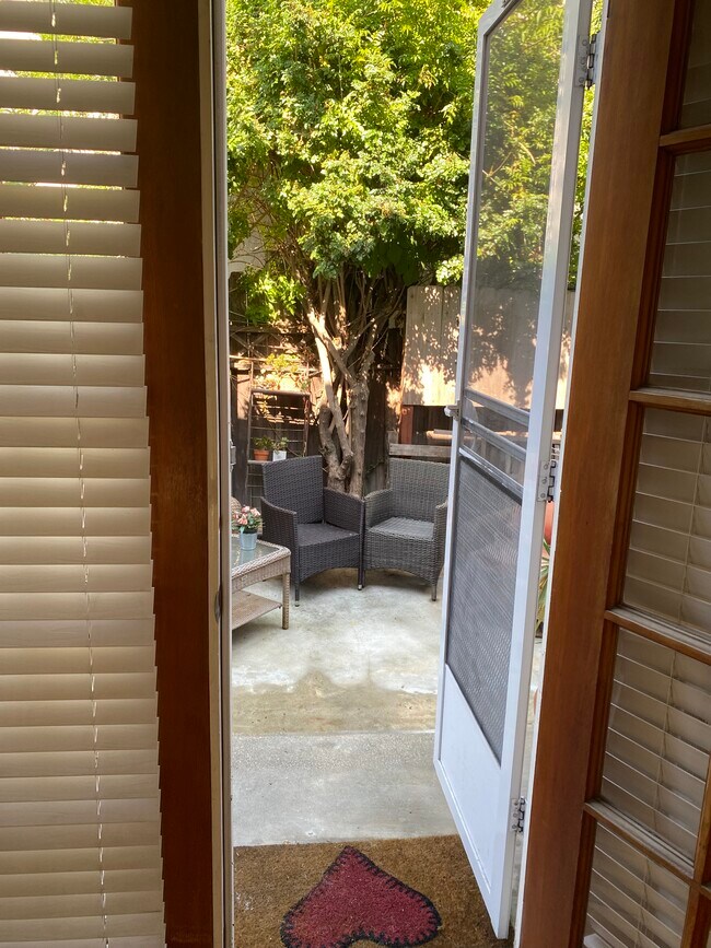 Back Door and Patio - 9826 Vidor Dr