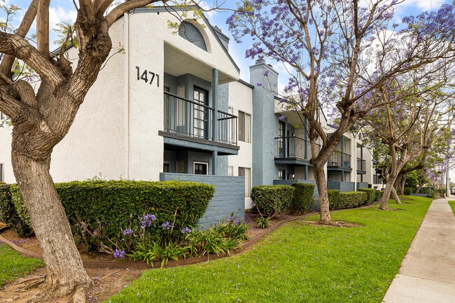 Building Photo - Mar at Grove