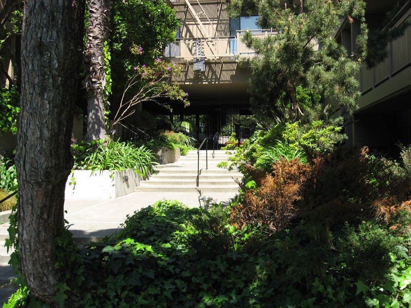 Primary Photo - 1817 California St
