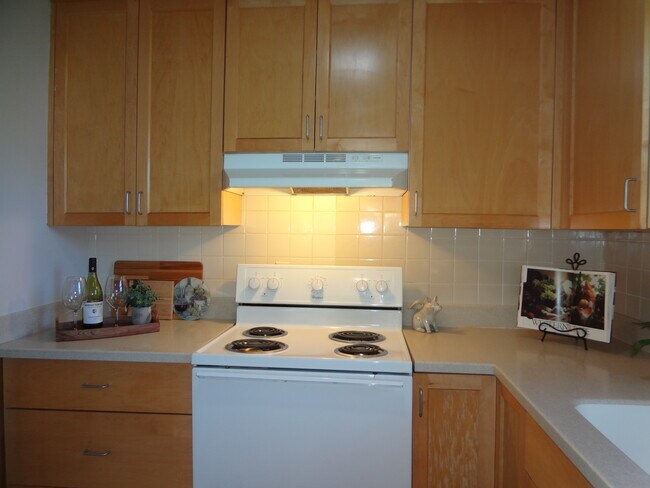 Kitchen - 510 Davie Rd