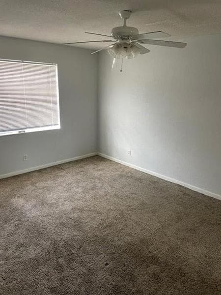 Foto del edificio - 355 Sunshine Dr