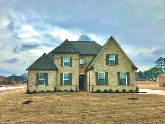 Now Leasing a Brand New 5 Bedroom 3 Bath Home - Now Leasing a Brand New 5 Bedroom 3 Bath Home