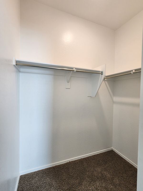 Building Photo - 1058 W Chimes Tower Dr