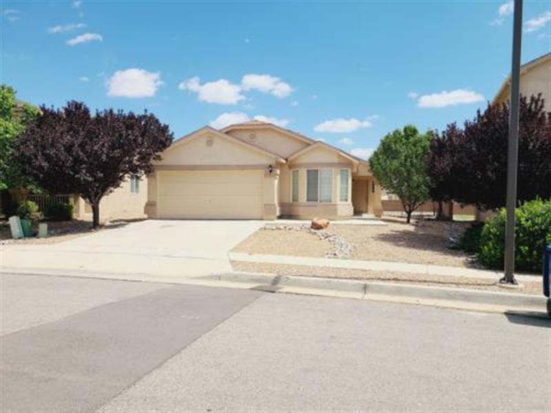 Primary Photo - LOS LUNAS