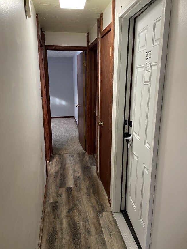 Hallway/Entrance - 1133 Bingham Ave