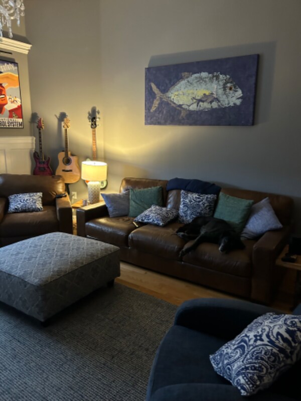 16 Balmoral St Unit 304, Andover, MA 01810 Condo for Rent in Andover