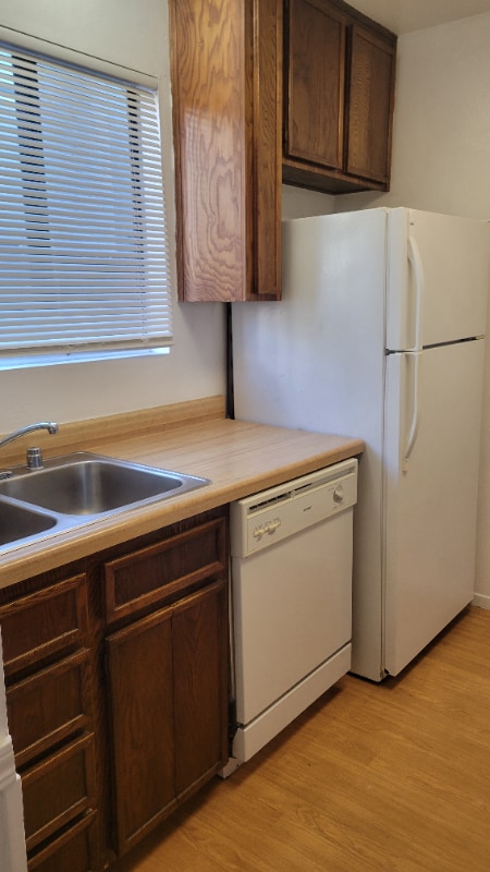 Building Photo - 1533 El Tigre Ct