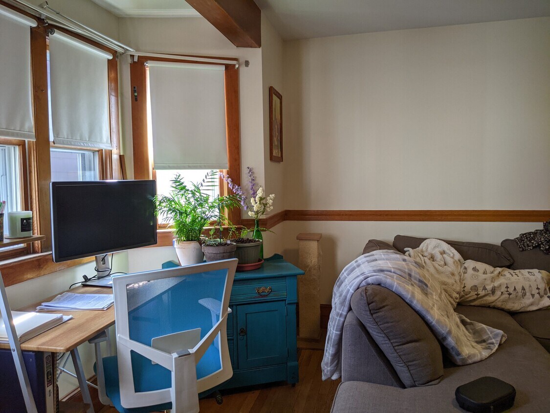 6 Antrim St Unit 2, Cambridge, MA 02139 Apartments in Cambridge, MA