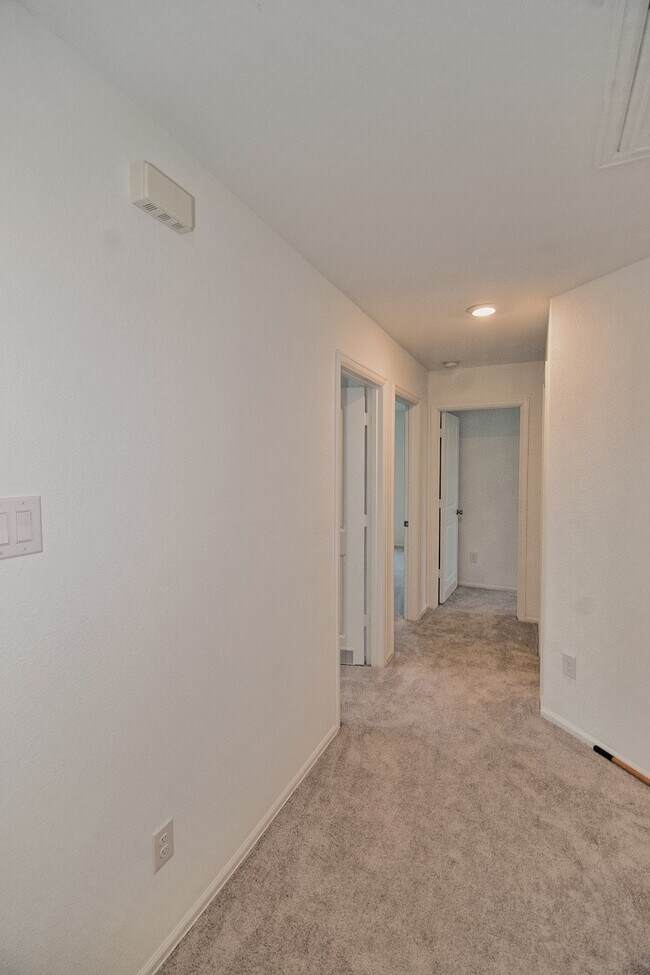 Foto del edificio - 4207 Palmetto Grv Ln