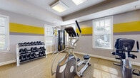 Located at 1518 E Park Ave in Savannah, Georgia, this dedicated fitness center offers a well-appointed, single-floor space designed to support a comprehensive workout experience. The interior is defined by a bold and energetic design aesthetic, featuring horizontal striped walls in yellow, gray, and white that lend the space a vibrant, motivating atmosphere. Neutral-toned carpeting covers the floors throughout, providing a comfortable surface underfoot.

The facility is equipped with a diverse selection of cardio machines, including treadmills, an elliptical trainer, and a stationary bike, positioned to take advantage of the ample natural light that streams in through multiple windows fitted with white plantation shutters. A full rack of dumbbells and a multi-station cable machine cater to strength training needs, making this a versatile space for varied fitness routines.

Full-wall mirrors along one side of the room visually expand the space and allow users to monitor their form during exercise. Recessed lighting and flush-mounted ceiling fixtures ensure the room remains well-lit throughout the day. The space is accessed through elegant French doors with glass panels, adding a refined architectural touch. Ceiling-mounted security and ventilation systems reflect thoughtful facility management, completing this practical and well-designed fitness environment.