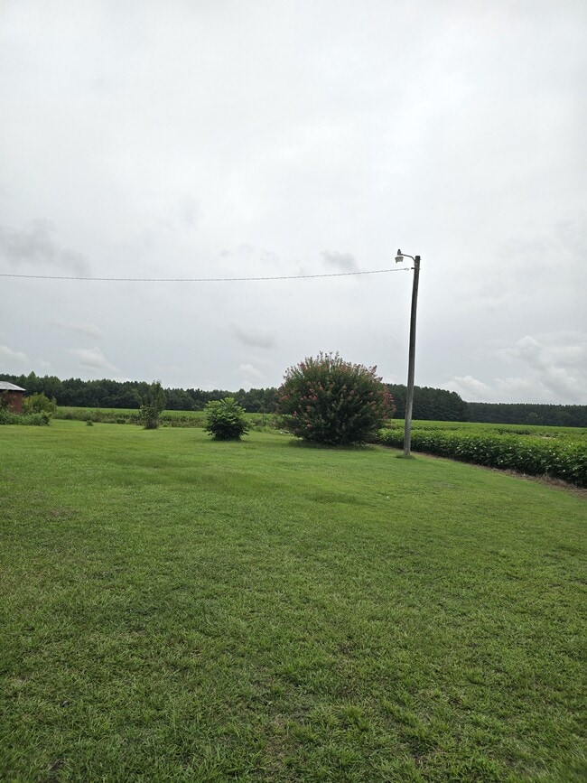Building Photo - 1717 Black Rd