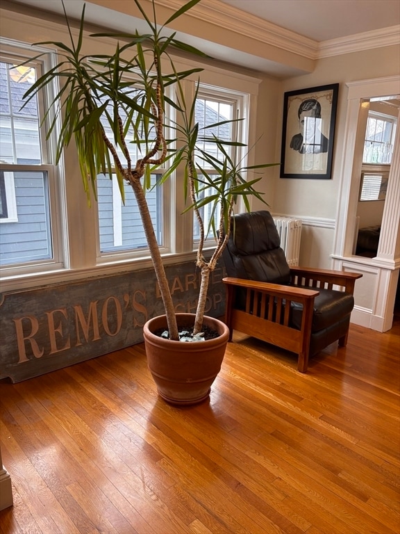 Building Photo - 59 Morton Ave