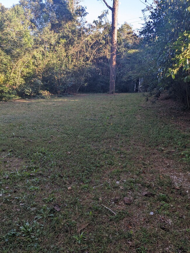 Large fence backyard - 1021 Redbird Rd