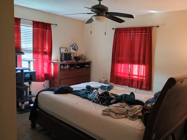 Building Photo - 2 bedroom 1 bathroom