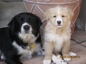 Foto del edificio - 1036 Felspar St