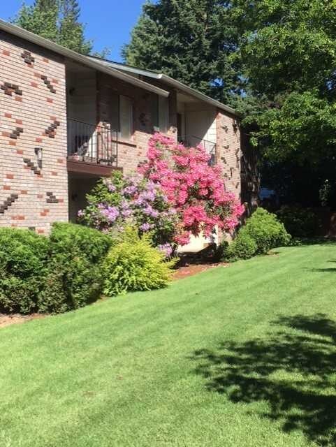 Primary Photo - Royal Pines Apartments
