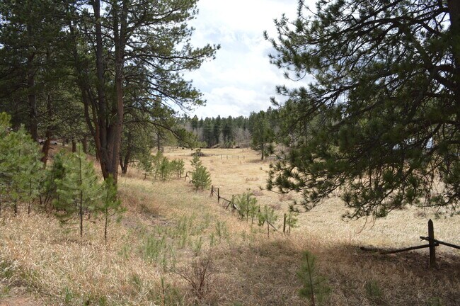 Foto del edificio - Private 3 bed 2 bath Ranch minutes from Downtown Woodland Park
