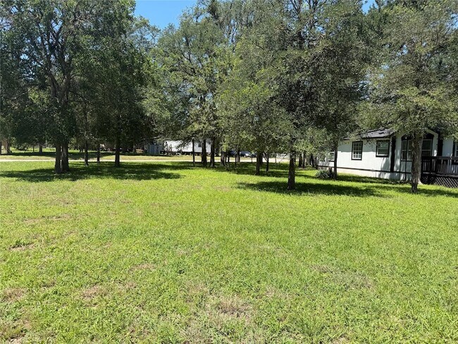 Foto del edificio - 236 Live Oak Dr