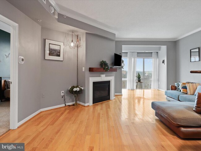 Foto del edificio - 3101 N Hampton Dr