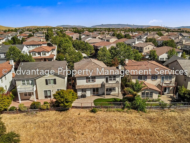 Building Photo - 2176 Mornington Ln