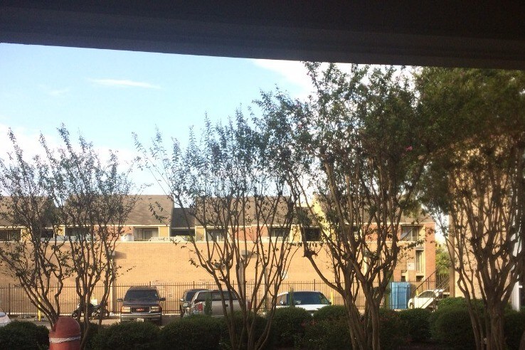 8017 Gessner Dr Unit 109 Austin Tx 78753 Apartment For Rent In Primary Photo 8017 Gessner Dr