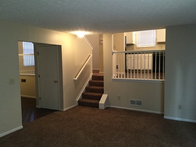 Building Photo - 3509 Steiner Street