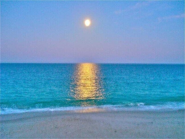 Foto del edificio - 5400 Jimmy Buffett Mem Hwy