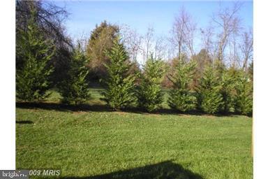 Building Photo - 841 Gallows Ct