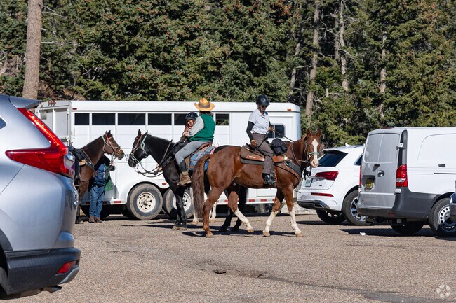 Horse riders flock to Cibola National Forest near Edgewood.