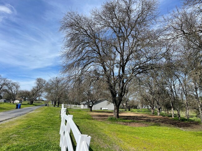 Foto del edificio - Like new 3br/2ba home on 5 Ac.