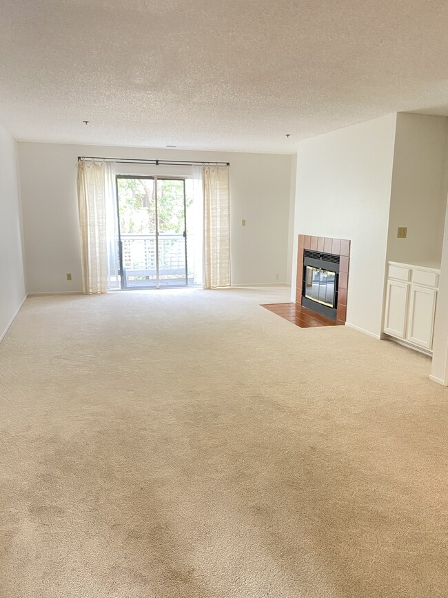 Living area with wood burning fireplace - 1364 Las Juntas Way
