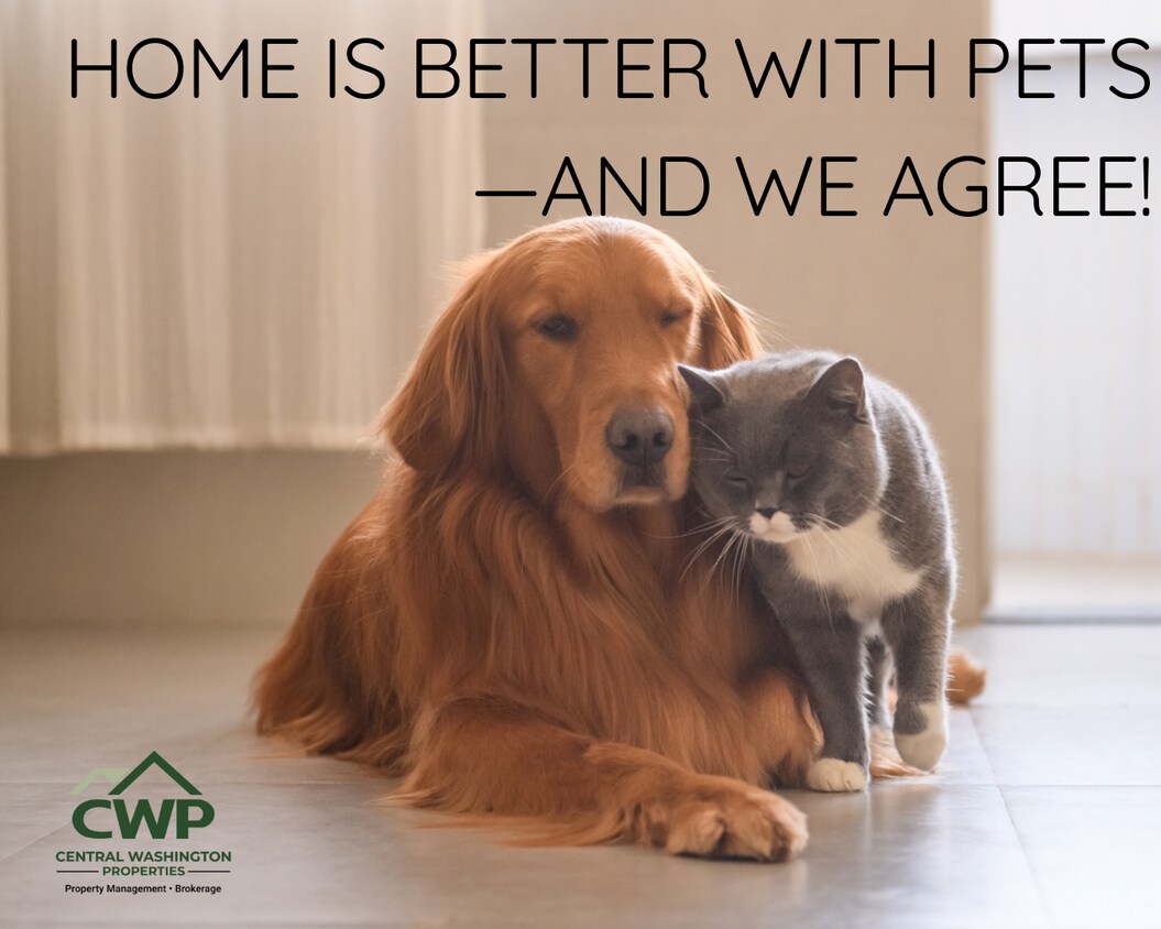 Foto del edificio - The Home You’ll Compare Everything Else To!