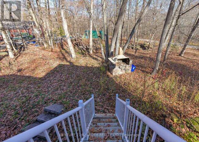 Building Photo - 3541 Shady Ct