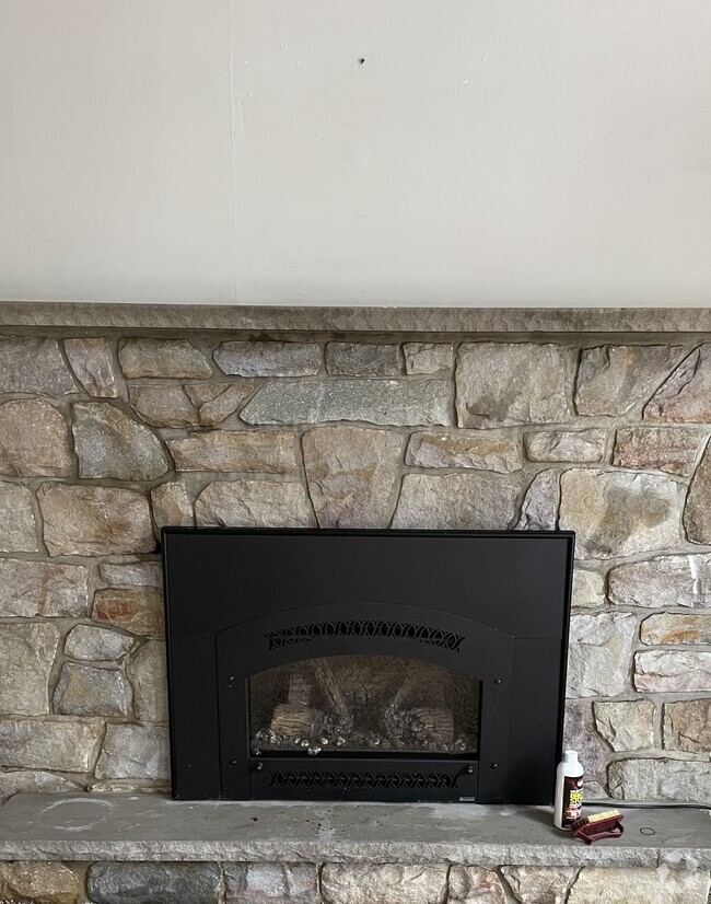 Gas fireplace for those cozy nights! - 8112 Shadow Ter