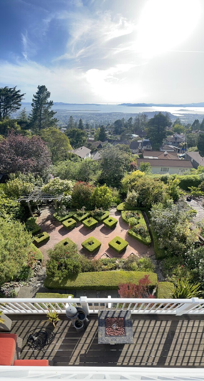backyardwith wonderful plants - 620 Grizzly Peak Blvd
