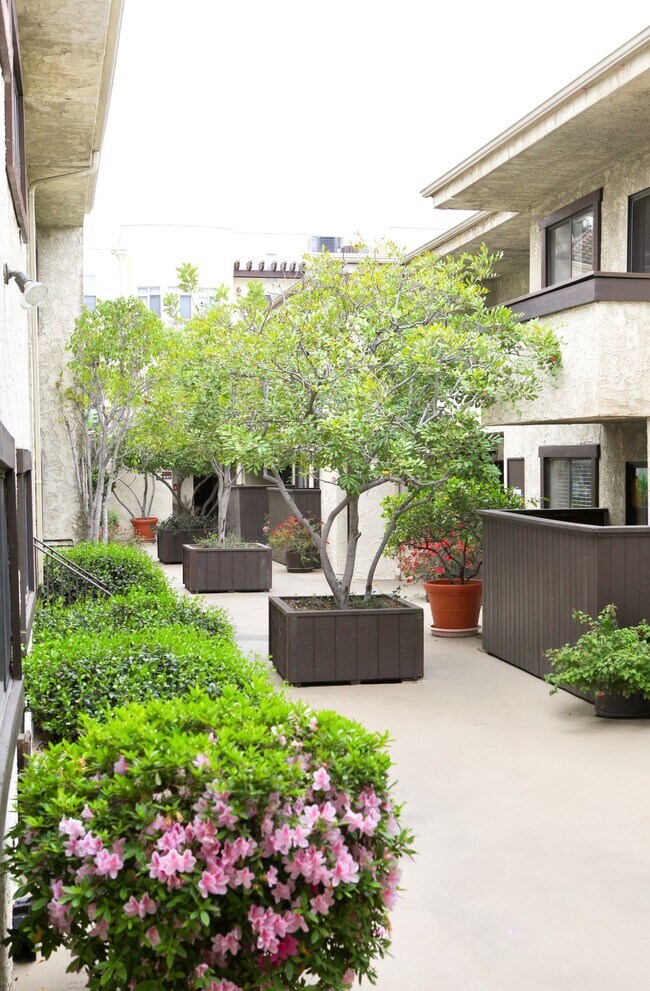 Foto del edificio - Canyon Glen Apartments
